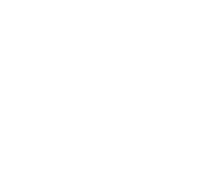 Cnr logo